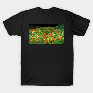 Bed of Nasturtiums. T-Shirt